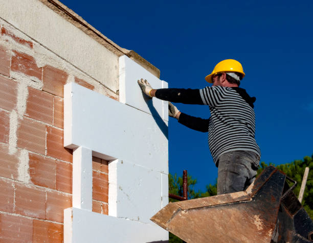 Best Residential Insulation in Rockwood, MI